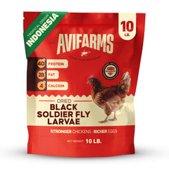 Dried Black Saldier Fly Larvae - 10LB